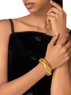 /original/07446_BNAM_Gold_2.png_convert-240x320