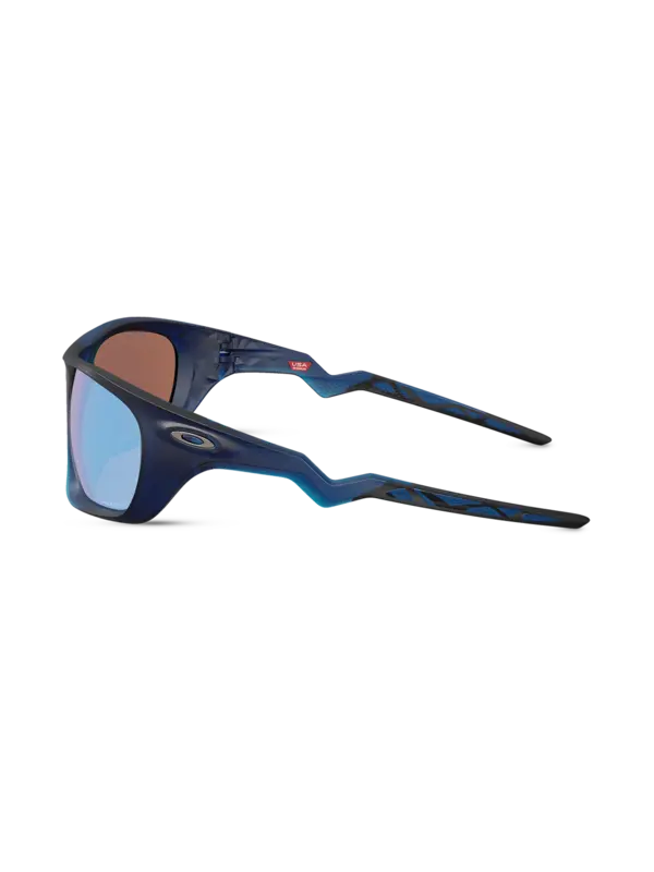 /original/0OO9431_OAKL_TranBluDep_4.png_convert-600x800