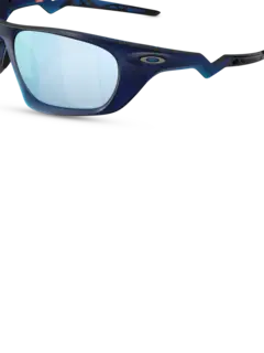 /original/0OO9431_OAKL_TranBluDep_5.png_convert-240x320