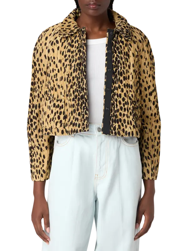 /original/1000868_NACK_Leopard_1.png_convert-600x800