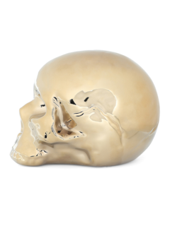 Golden Skull