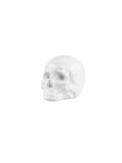 White Skull Ornament