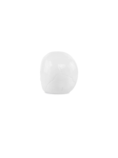 White Skull Ornament