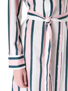 /original/110006832N42_ORTN_Peony_5.png_convert-240x320