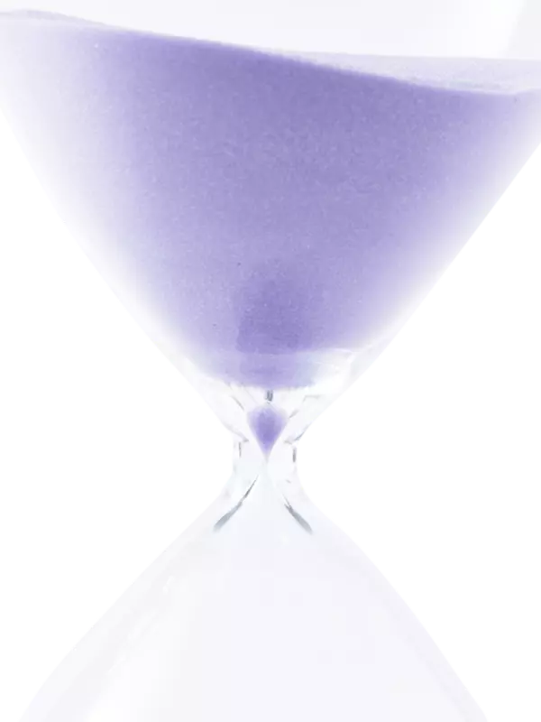 /original/110300196_POLS_LILAC_3.png_convert-600x800