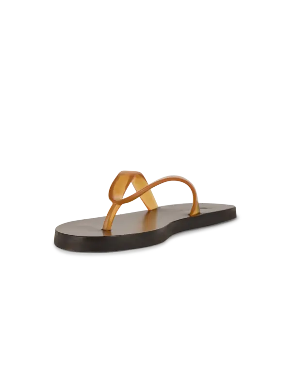 /original/122451148_AGRK_Caramel_3.png_convert-600x800