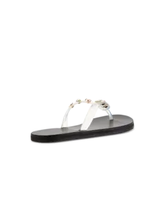 /original/122451172_AGRK_Clear_4.png_convert-240x320