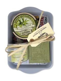 /original/150740001088001_MTSV_NA_1.png_convert-240x320