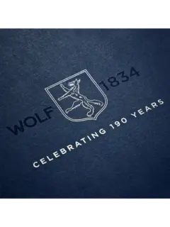 /original/190003_WOLF_Silver_6.png_convert-240x320