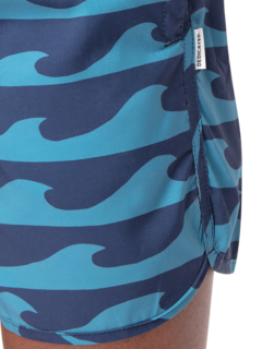 Sandhamn Waves Swim Shorts