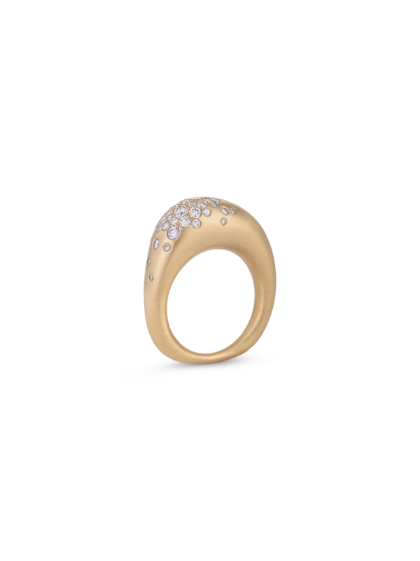 /original/21ARG02CHY_NGZL_CHAMPAGNE_1.png_convert-600x800