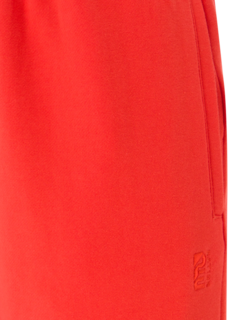 /original/22PE3P078_PENA_Cherry Tom_5.png_convert-240x320