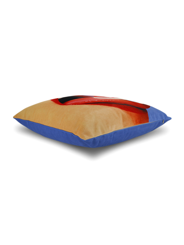 Comfortable Cushion with Lips and Toothpaste Print
