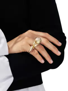 /original/23BRG05ACHY_NGZL_CHAMPAGNE_2.png_convert-240x320