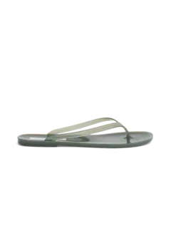 /original/24029356_CHEB_Agave_1.png_convert-240x320