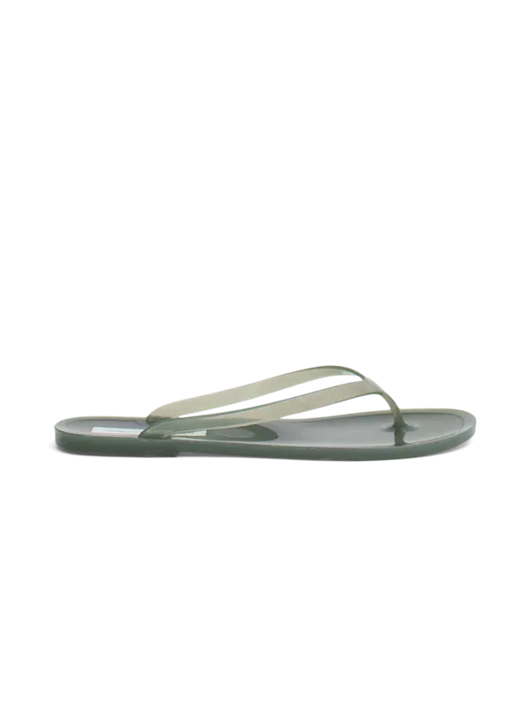 /original/24029356_CHEB_Agave_1.png_convert-600x800