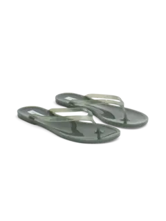 /original/24029356_CHEB_Agave_2.png_convert-240x320