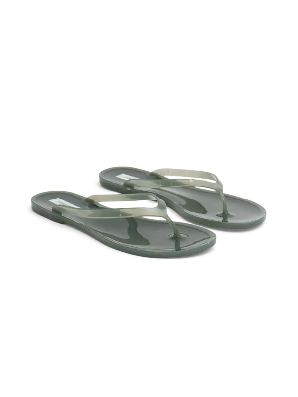 /original/24029356_CHEB_Agave_2.png_convert-600x800