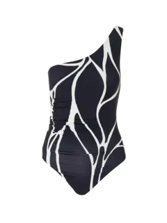 /original/24A044_CALA_Vitralbw_1.png_convert-240x320