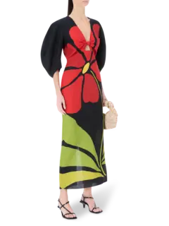 /original/24B170_CALA_Camellia_2.png_convert-240x320