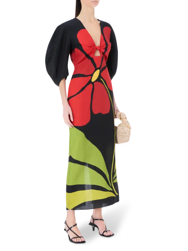 /original/24B170_CALA_Camellia_2.png_convert-600x800