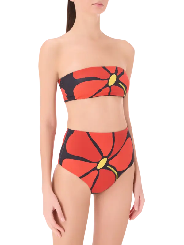 /original/24B177_CALA_Camellia_2.png_convert-600x800