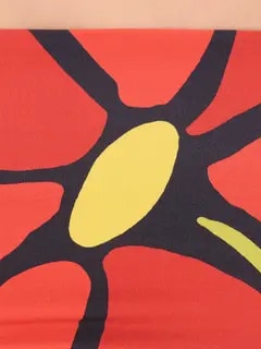 /original/24B177_CALA_Camellia_4.png_convert-240x320