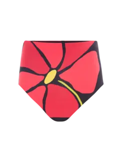 /original/24B178_CALA_Camellia_1.png_convert-240x320