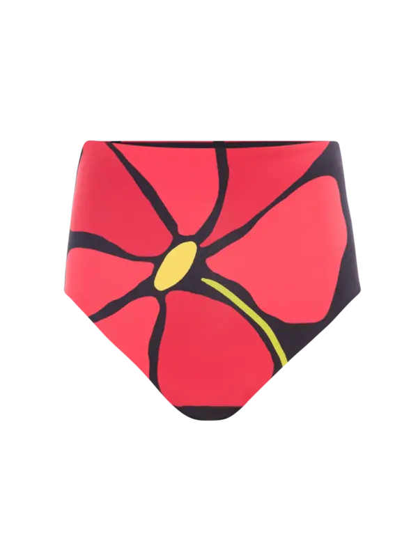 /original/24B178_CALA_Camellia_1.png_convert-600x800