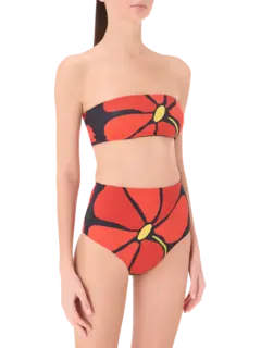 /original/24B178_CALA_Camellia_2.png_convert-240x320