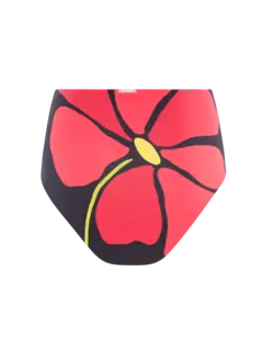 /original/24B178_CALA_Camellia_3.png_convert-240x320