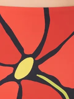 /original/24B178_CALA_Camellia_4.png_convert-240x320