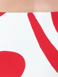 /original/24C455_CALA_CnteScarlt_4.png_convert-240x320