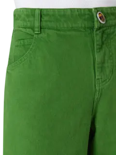 /original/25015724_CHEB_Cactus_4.png_convert-240x320