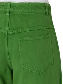 /original/25015724_CHEB_Cactus_5.png_convert-240x320