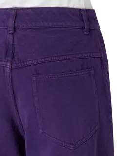 /original/25015724_CHEB_Viola_5.png_convert-240x320