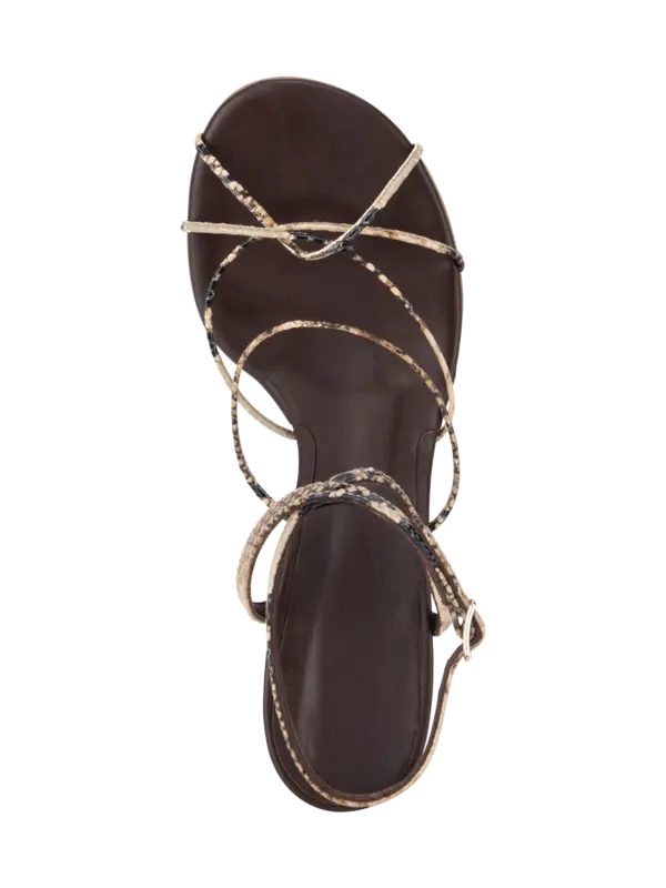 /original/25049570_CHEB_SerpentCho_5.png_convert-600x800