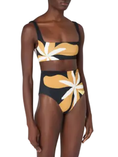 /original/25A040_CALA_Cattleyabw_2.png_convert-240x320