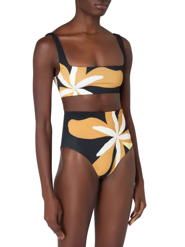 /original/25A040_CALA_Cattleyabw_2.png_convert-600x800