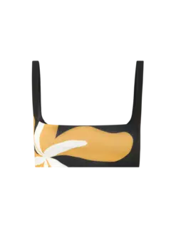 /original/25A049_CALA_Cattleyabw_1.png_convert-240x320