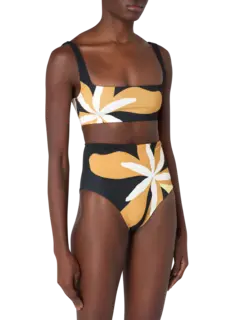 /original/25A049_CALA_Cattleyabw_2.png_convert-240x320