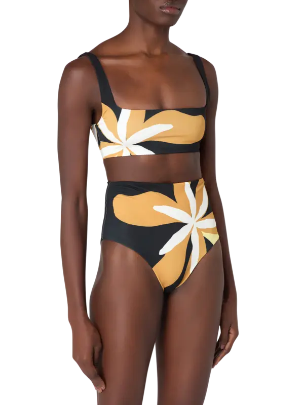 /original/25A049_CALA_Cattleyabw_2.png_convert-600x800