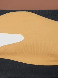 /original/25A049_CALA_Cattleyabw_4.png_convert-240x320