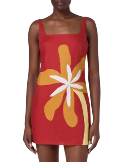 /original/25A120_CALA_Cattleya_1.png_convert-240x320