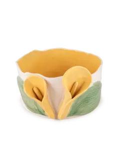 /original/25LILDISH_CONS_Yellow_1.png_convert-240x320