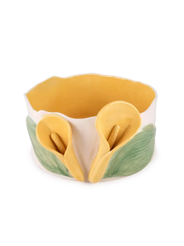 /original/25LILDISH_CONS_Yellow_1.png_convert-600x800