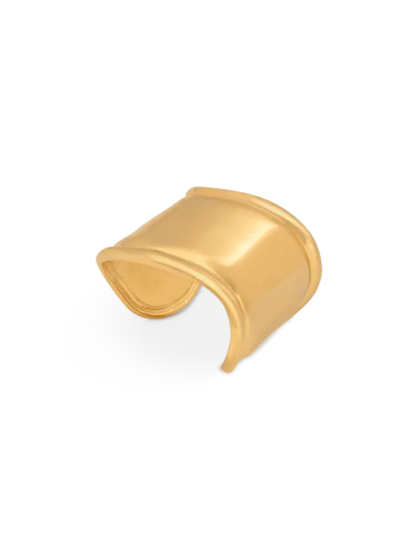 /original/26414_BNAM_Gold_1.png_convert-600x800