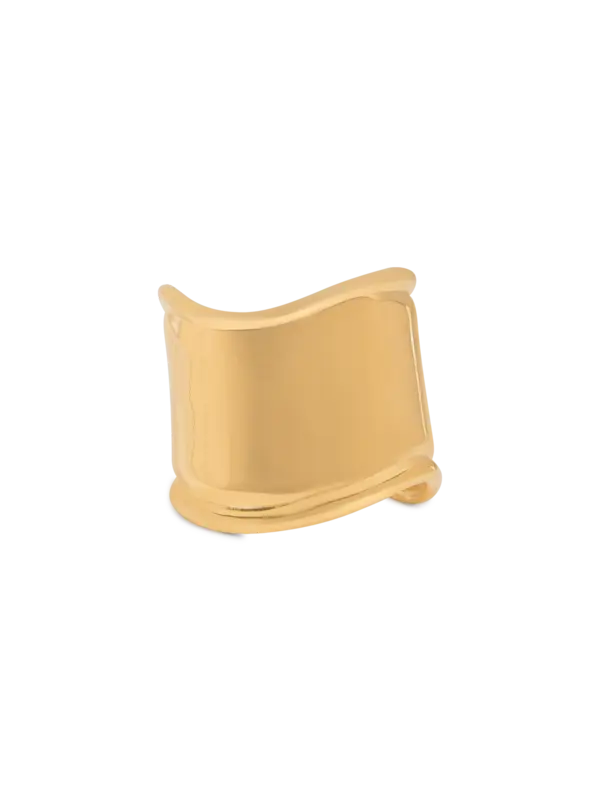 /original/26414_BNAM_Gold_2.png_convert-600x800