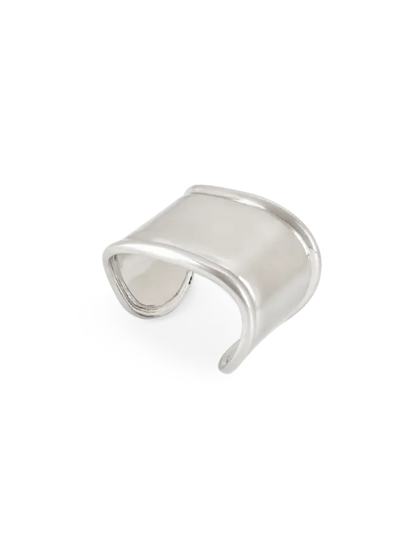 /original/26414_BNAM_Silver_1.png_convert-600x800