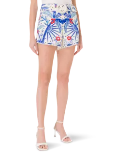 /original/309221_FRIO_H3043_1.png_convert-240x320
